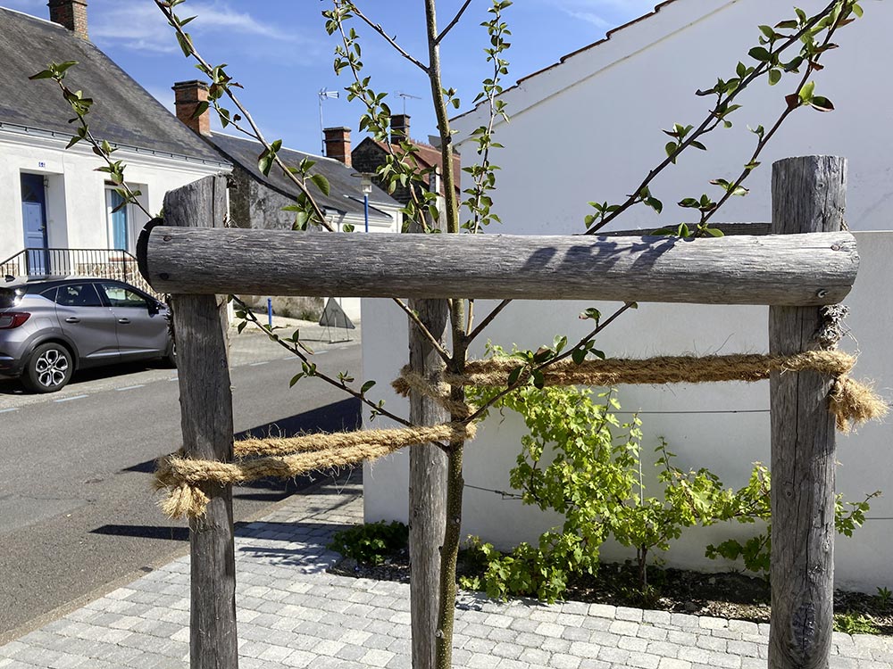 Aménagement d'une maison médicale à St-Hilaire-de-Riez